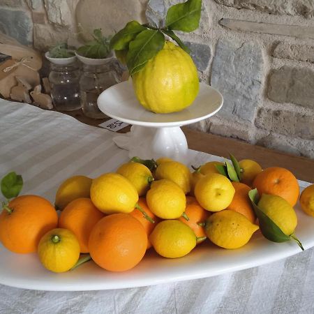Il Fienile Bed & Breakfast Фаганя Екстериор снимка